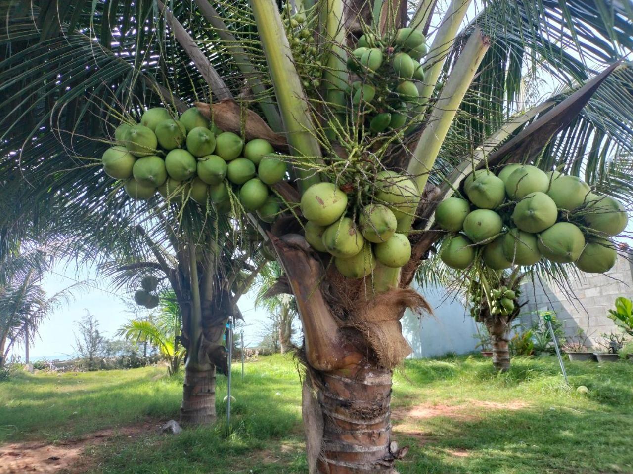 Bien Ngoc Homstay Phan Thiết Eksteriør billede