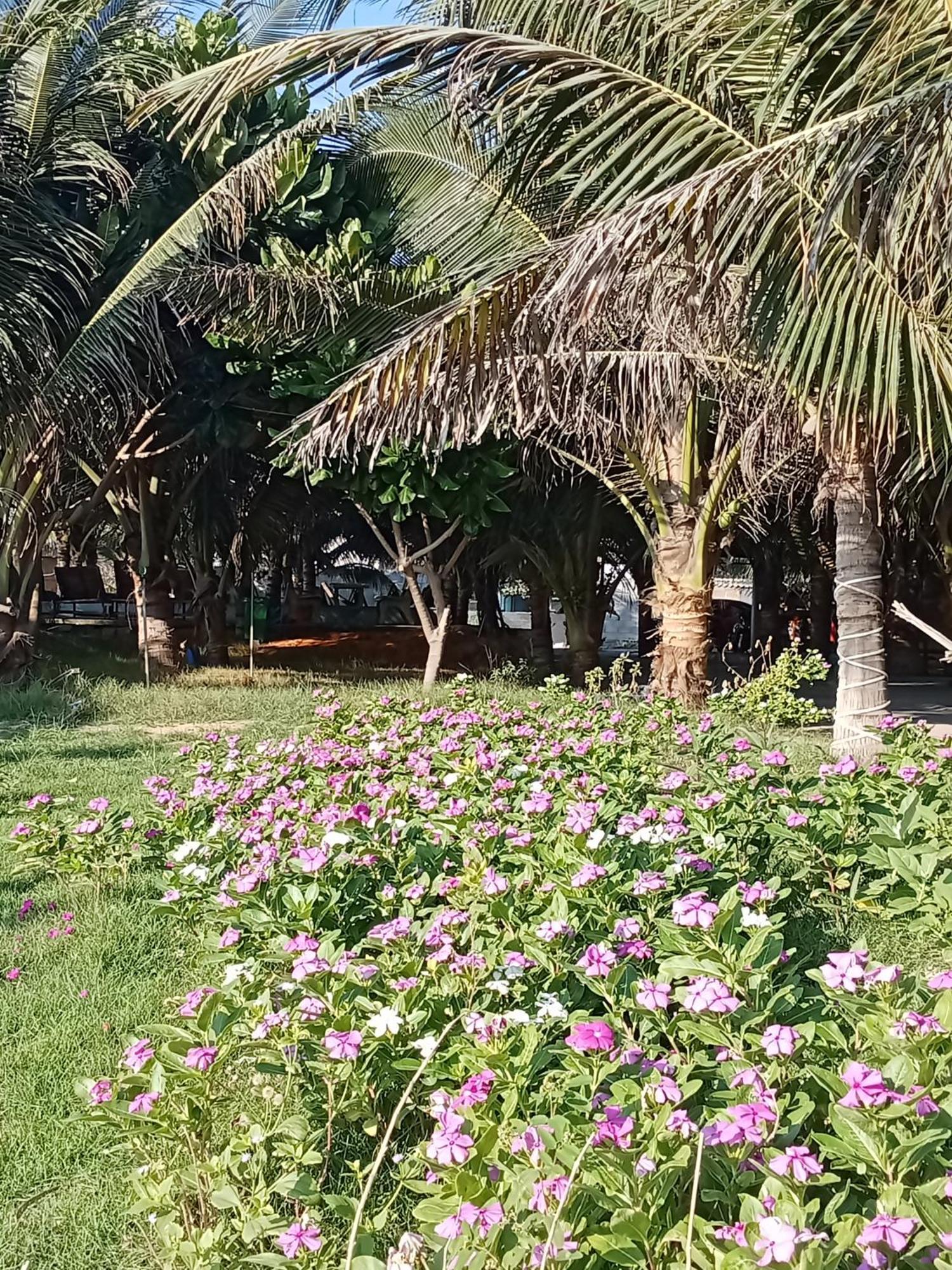 Bien Ngoc Homstay Phan Thiết Eksteriør billede