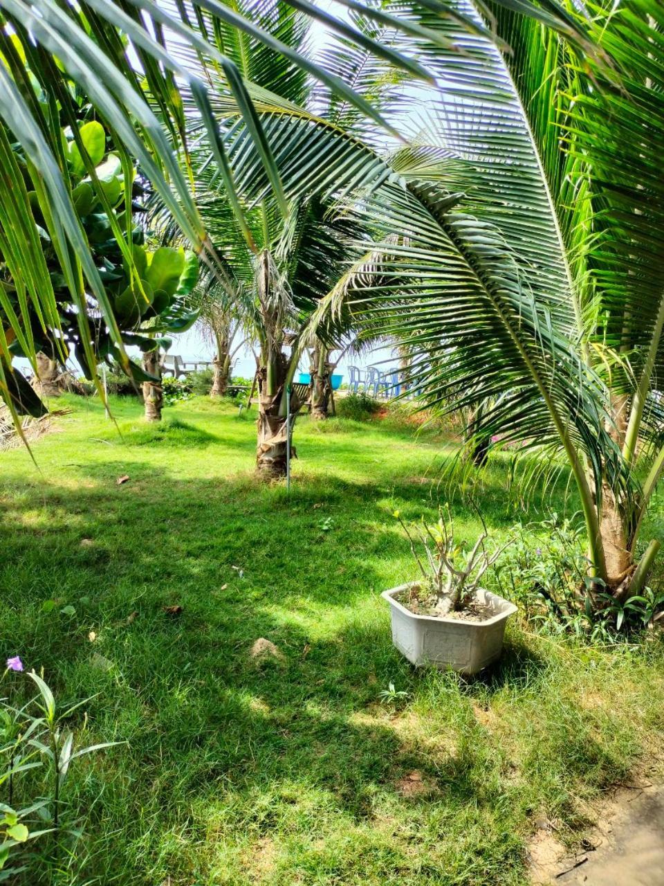 Bien Ngoc Homstay Phan Thiết Eksteriør billede