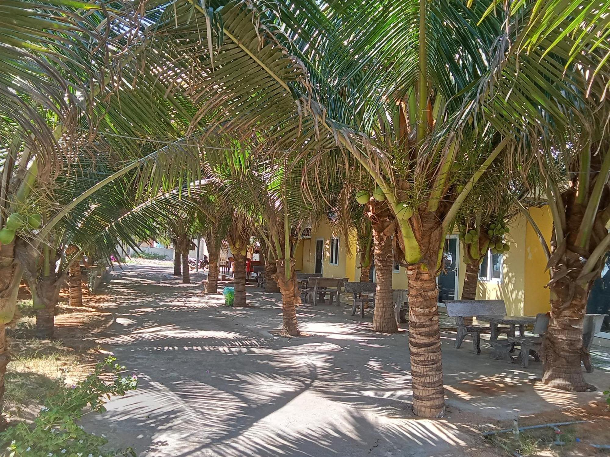 Bien Ngoc Homstay Phan Thiết Eksteriør billede